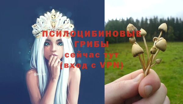 MDMA Premium VHQ Армянск