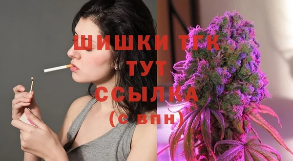 винт Аркадак