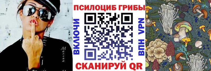 Псилоцибиновые грибы Psilocybe  сайты даркнета наркотические препараты  Удомля  кракен ONION 